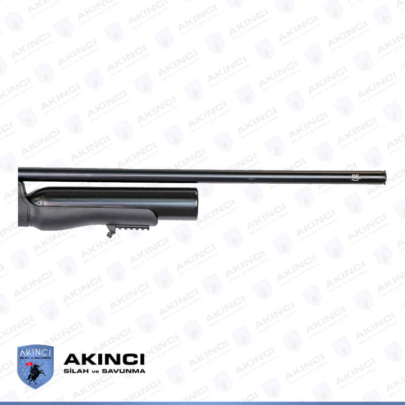 Reximex Daystar Revize